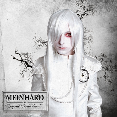 MEINHARD - "Beyond Wonderland"  VÖ: 15.03.