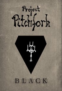 pitch1.jpg